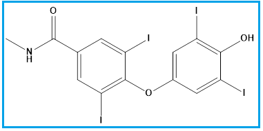 THYROXINE-FORMIC ACID-N-METHYLAMIDE